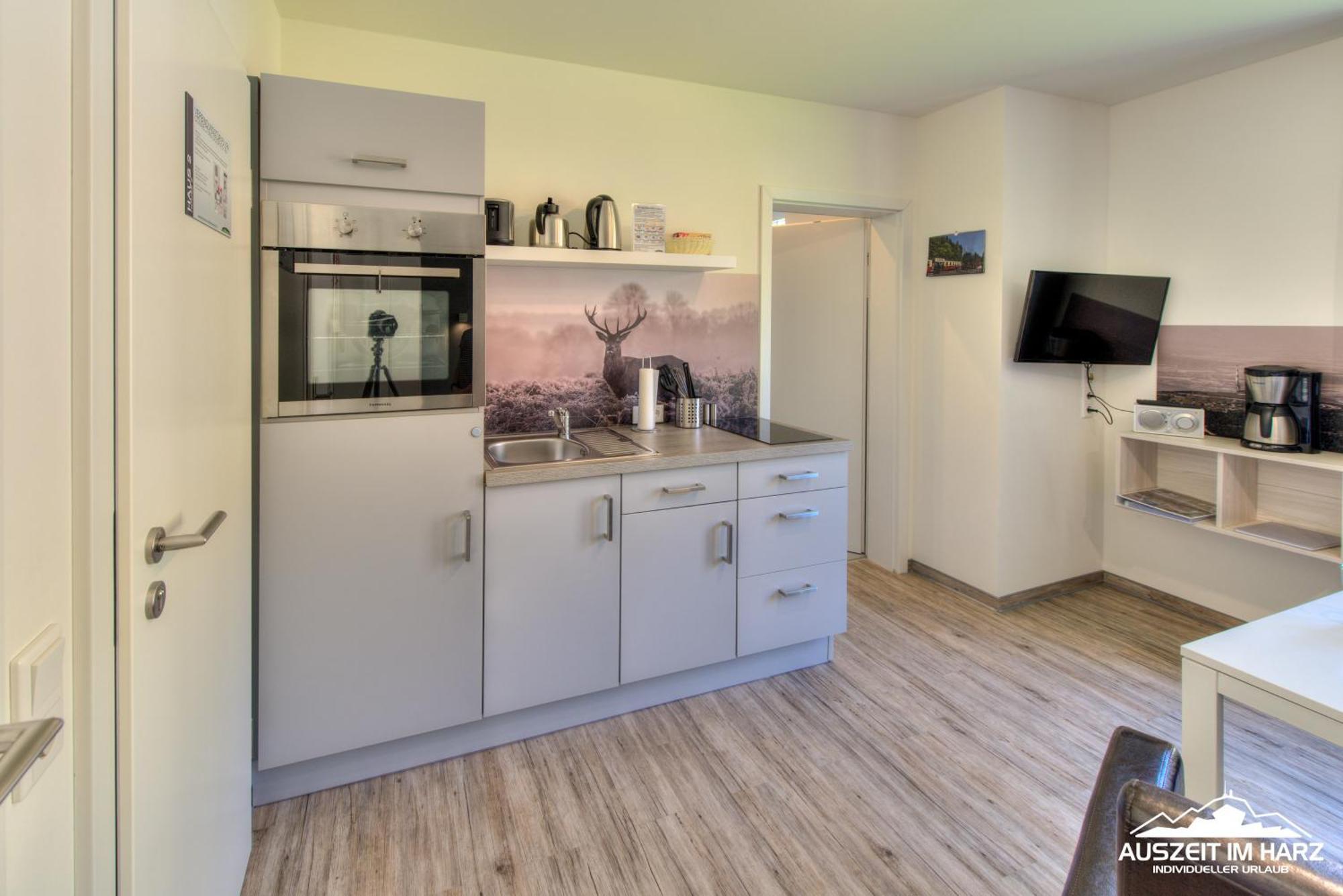 Auszeit-Im-Harz Haus 2 Wohnung 4 Schierke Dış mekan fotoğraf